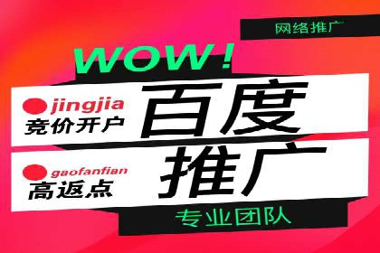 百度推广优化技巧：案例分析
